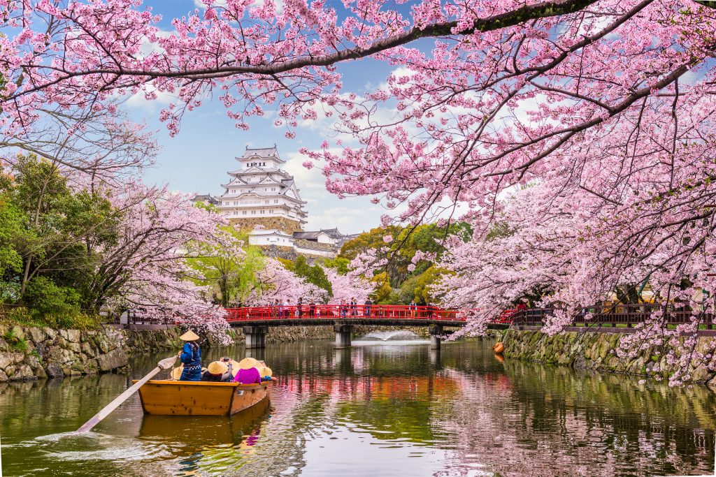 Pagóda stílusú fehér épület, előtérben folyó és virágzó cseresznyefák