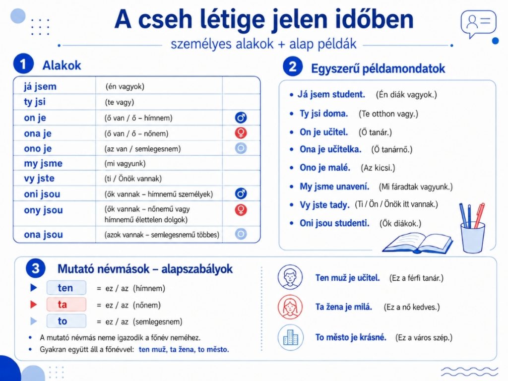 A cseh létige jelen idejű alakjai és alap példamondatok magyar magyarázattal